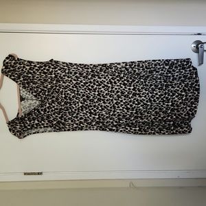 Ann Taylor Leopard Print Dress